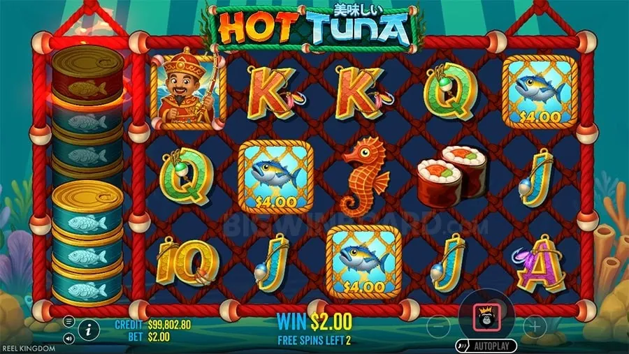 Support and Assistance for Problem Gambling